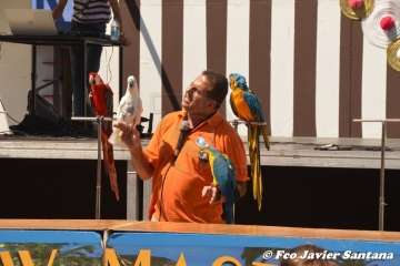 Espectáculo de aves exóticas de Paco Pluma en El Caracol (Foto Francisco Javier Santana)
